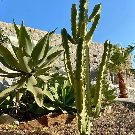 Sensus Mykonos * Калафатис