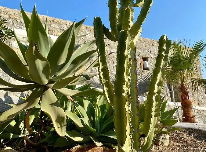 Sensus Mykonos * Kalafáti