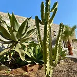 Sensus Mykonos * Kalafáti